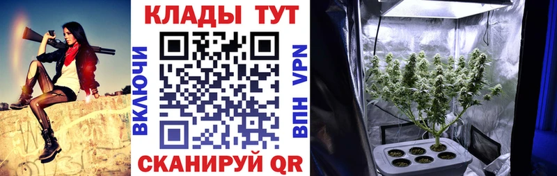 Купить наркотики сайты Змеиногорск ссылка на мегу зеркало  Кетамин  МЕФ  Амфетамин  Конопля  ГАШ  Alpha-PVP  ГЕРОИН 