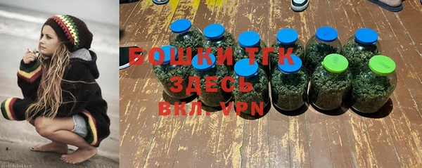 ешки Алексин
