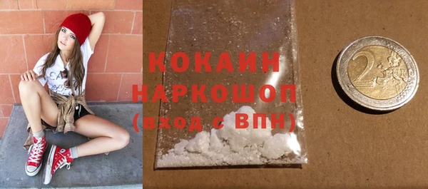 ешки Алексин